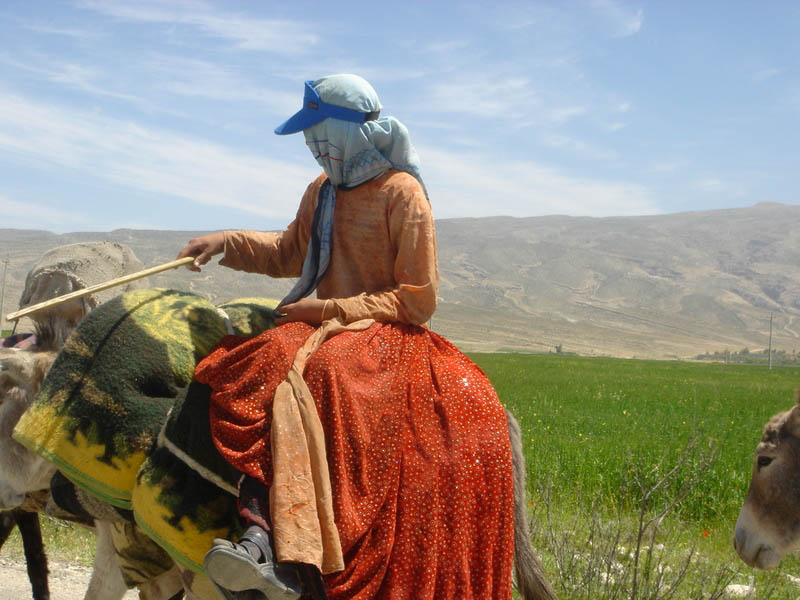 Migrating Qashqai Tribes In Firuz Abad